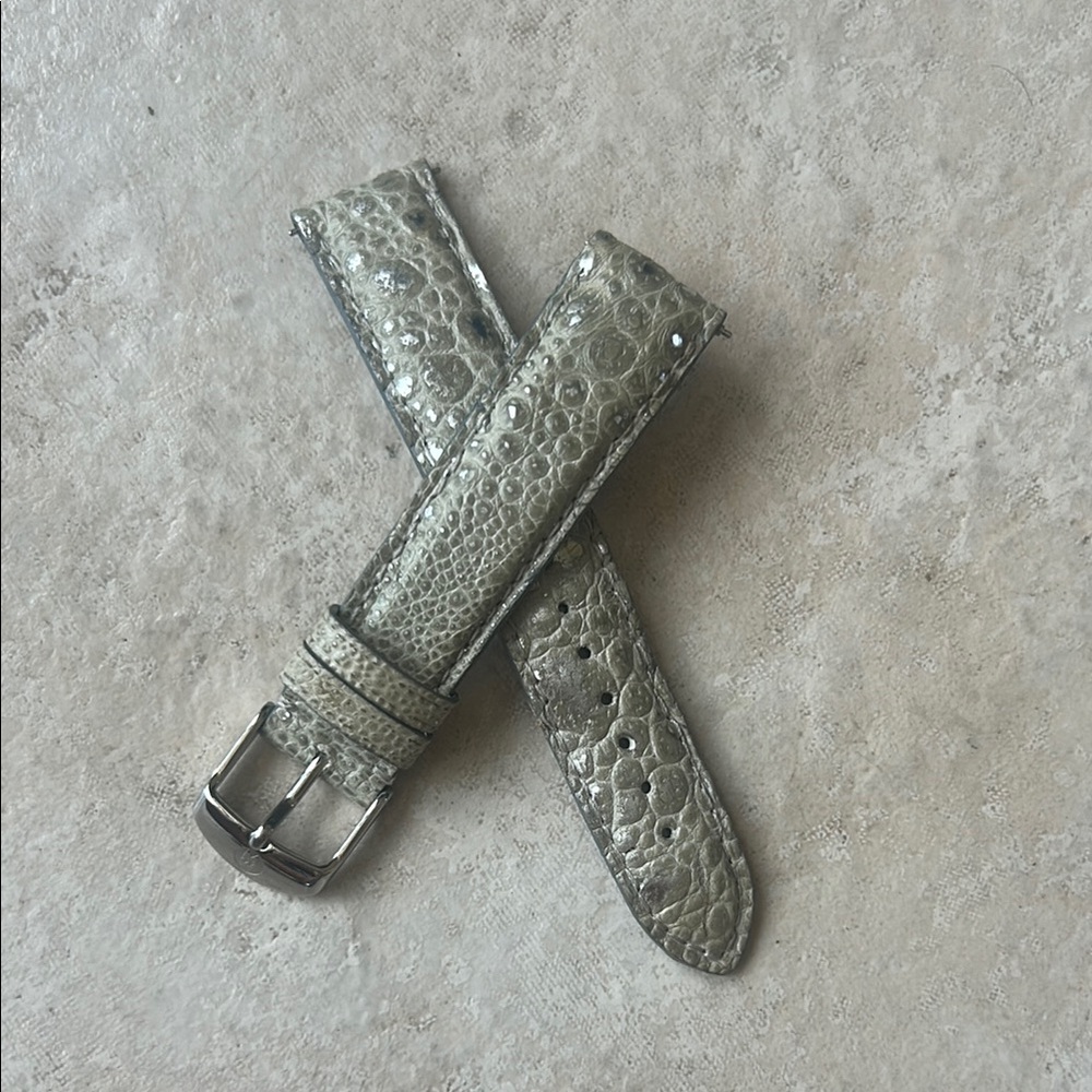 Metallic Gray Croc-Embossed Leather Watch Strap, silver accents. Must see!